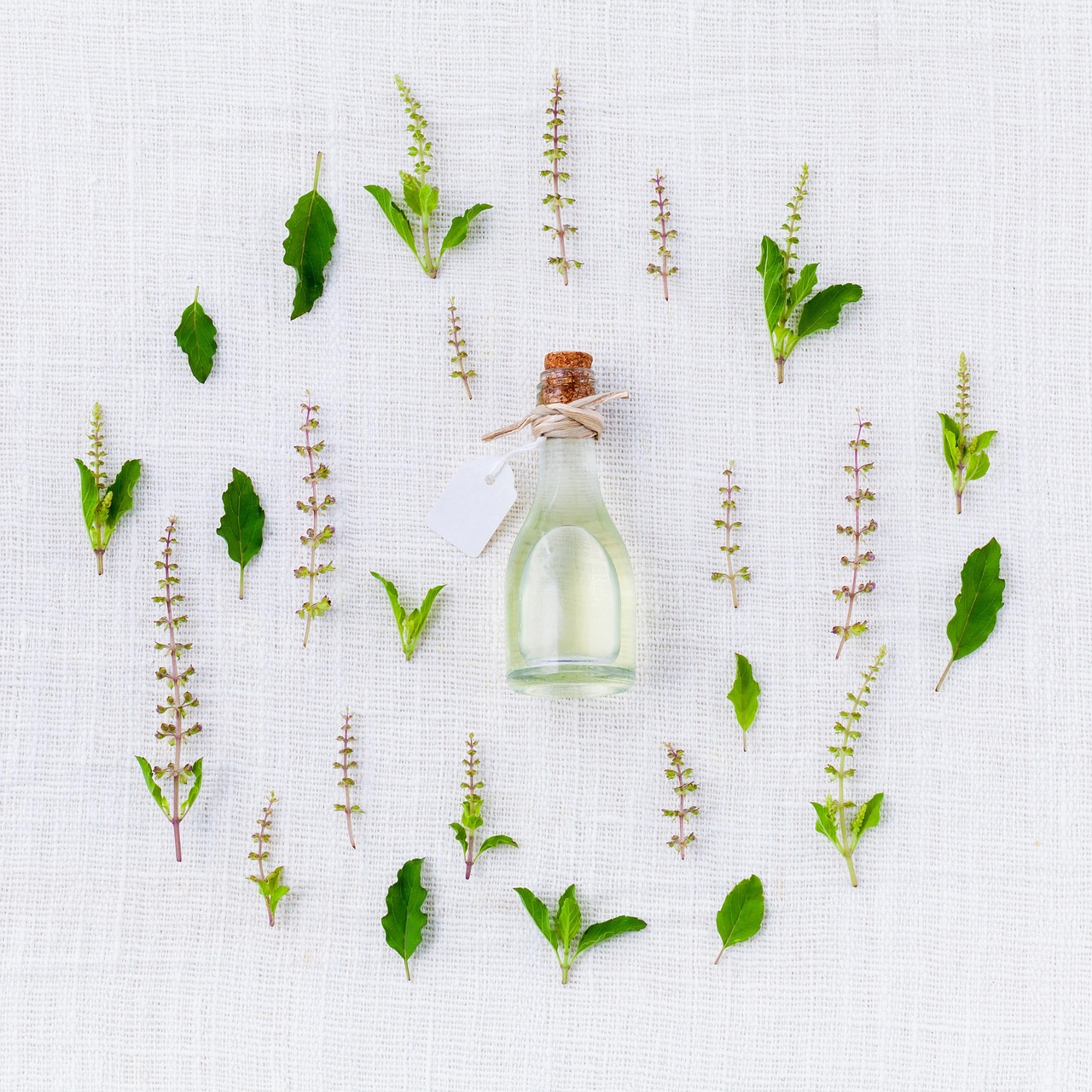 Cajeput Oil Substitutes: What to Reach for Instead